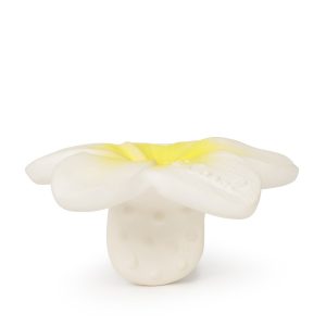 oli-carol-mini-zvakalica-cvijet-1